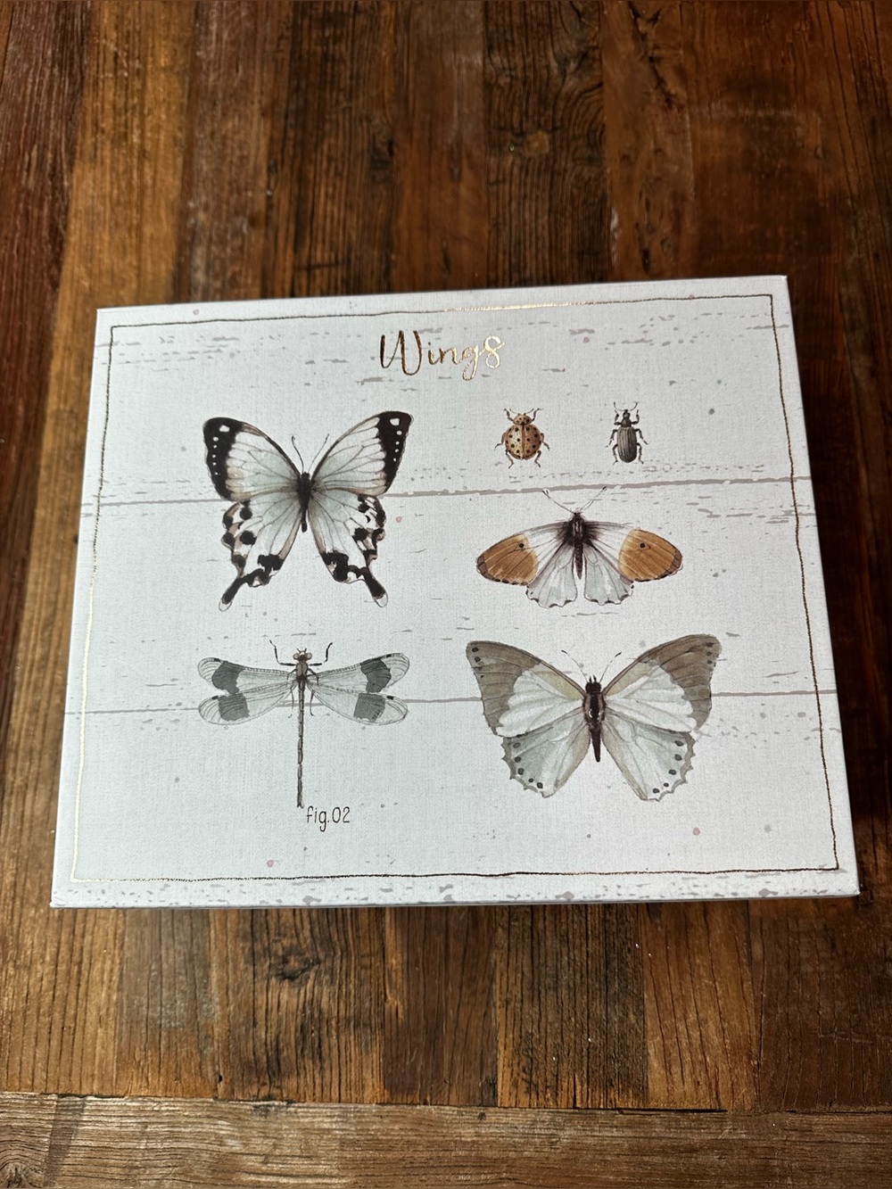 Wings Butterfly gift box Art - Neutral Cream & Tan